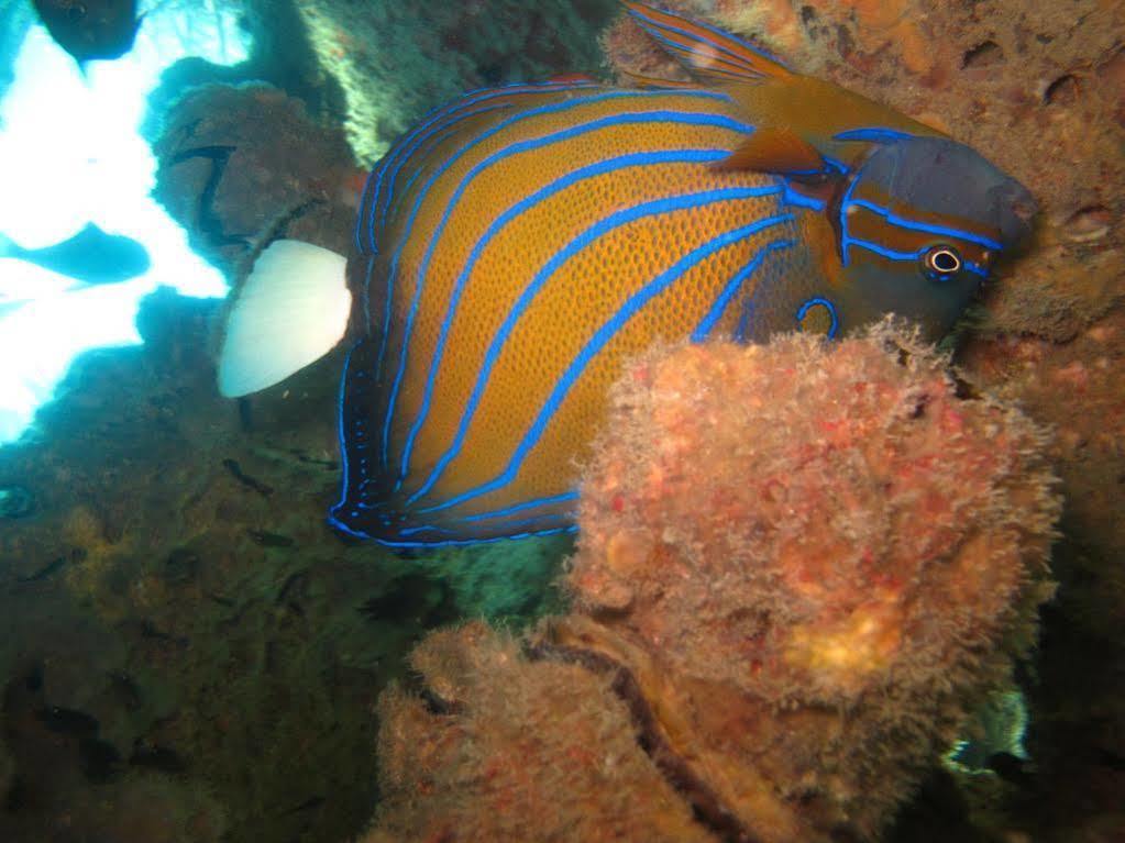 Ombak Dive Resort Pulau Perhentian Kecil Exterior foto